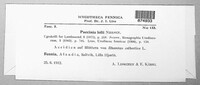 Puccinia lolii image